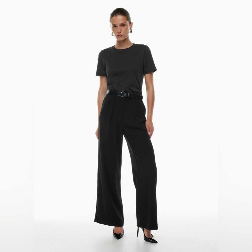 Aritzia Babaton Founder Pant